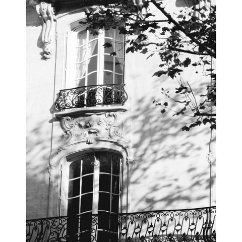 Autumn Shadows I Black Modern Wood Framed Art Print by Gomis, J.