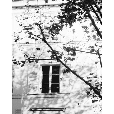 Autumn Shadows II Black Modern Wood Framed Art Print with Double Matting by Gomis, J.
