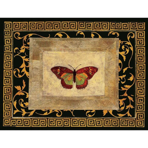 Winged Ornament II White Modern Wood Framed Art Print by Hayes, Alan