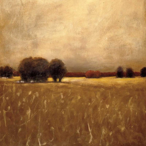Ridge Field Gold Ornate Wood Framed Art Print with Double Matting by Hess, Gretchen