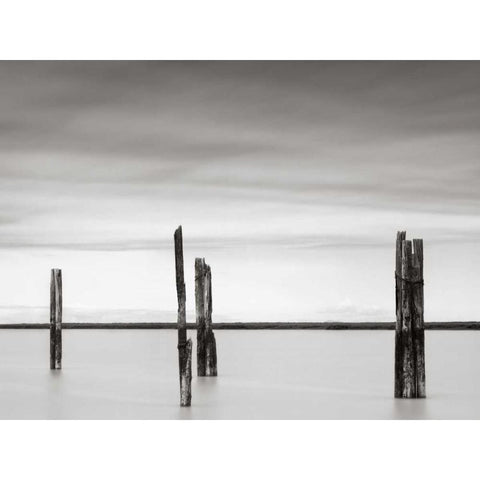 Cluster of Posts II Black Modern Wood Framed Art Print with Double Matting by Hislop, Lawrence