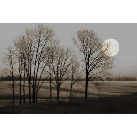 November Moon White Modern Wood Framed Art Print by Jacks, Heather