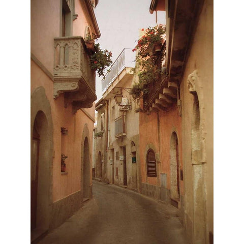 Forza DArgo Alleyway II Gold Ornate Wood Framed Art Print with Double Matting by Jacks, Heather