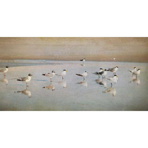 Coastal Reflections White Modern Wood Framed Art Print by Jacks, Heather