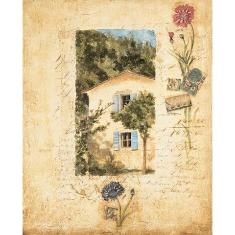 Country Wildflowers II Gold Ornate Wood Framed Art Print with Double Matting by Jardine, Liz