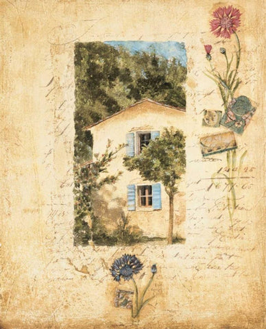 Country Wildflowers II Black Ornate Wood Framed Art Print with Double Matting by Jardine, Liz