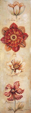 Tangerine Dream II White Modern Wood Framed Art Print with Double Matting by Jardine, Liz