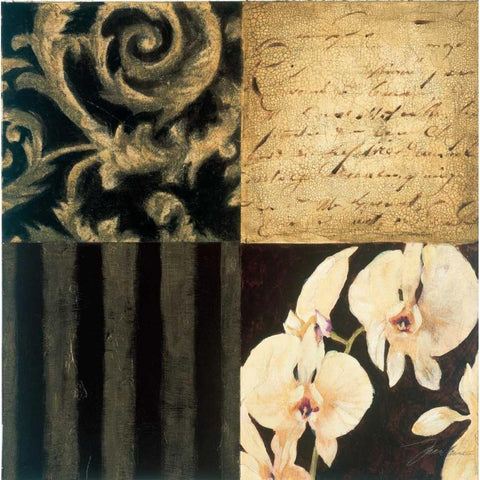 Orchid Sketch II White Modern Wood Framed Art Print by Jardine, Liz