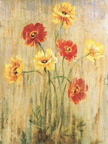 Poppy Serenade Black Ornate Wood Framed Art Print with Double Matting by Jardine, Liz