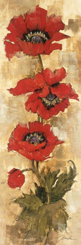 Strand of Poppies II White Modern Wood Framed Art Print with Double Matting by Jardine, Liz