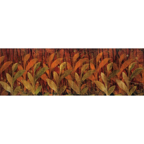 Coral Fields Black Modern Wood Framed Art Print by Jardine, Liz