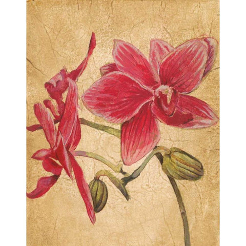 HawaiianTropics II White Modern Wood Framed Art Print by Jardine, Liz