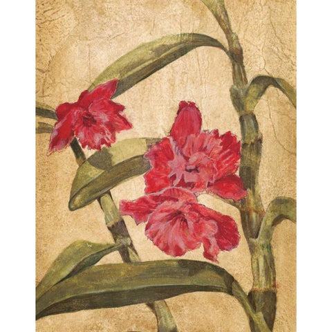 Hawaiian Tropics III Black Modern Wood Framed Art Print with Double Matting by Jardine, Liz