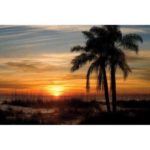 Ana Maria Sunset Black Modern Wood Framed Art Print by Jones, Mike
