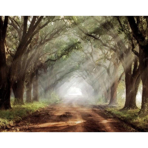 Evergreen Plantation Gold Ornate Wood Framed Art Print with Double Matting by Jones, Mike