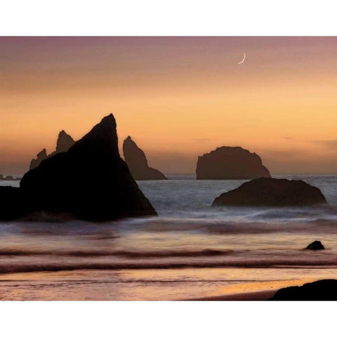 Moonset Gold Ornate Wood Framed Art Print with Double Matting by Jones, Mike