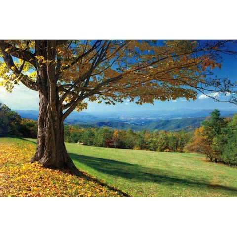 Blue Ridge Beauty Black Modern Wood Framed Art Print with Double Matting by Jones, Mike