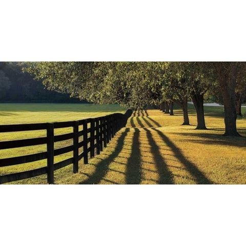 Chasing Shadows Black Modern Wood Framed Art Print by Jones, Mike