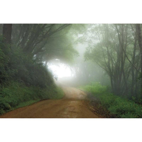 Road to Nowhere Black Modern Wood Framed Art Print with Double Matting by Jones, Mike