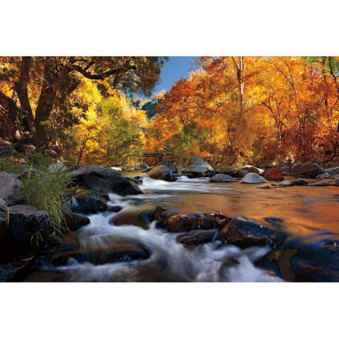 River of Gold Black Modern Wood Framed Art Print by Jones, Mike