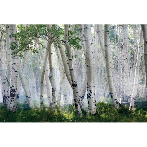 Up In The Clouds Black Modern Wood Framed Art Print with Double Matting by Jones, Mike