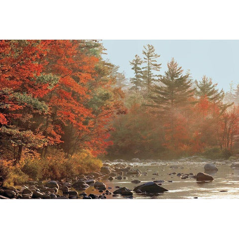 Foggy River Gold Ornate Wood Framed Art Print with Double Matting by Jones, Mike