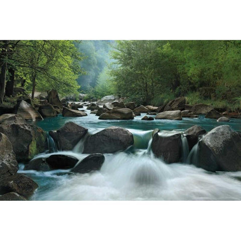 Secret Passage Black Modern Wood Framed Art Print with Double Matting by Jones, Mike