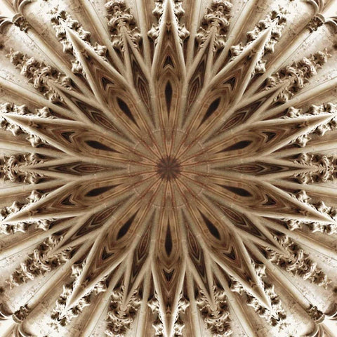 Basilica of St. Nazaire Black Modern Wood Framed Art Print with Double Matting by LaGrave Designs