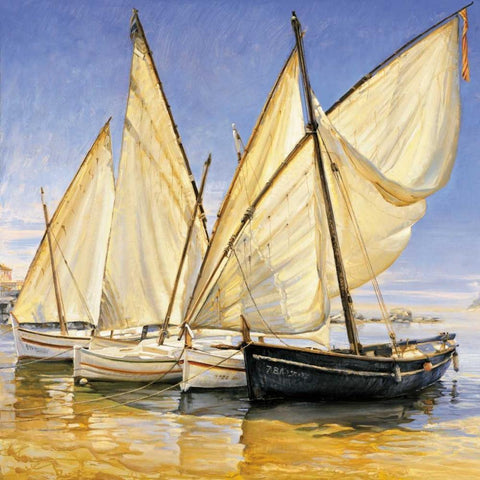 White Sails II White Modern Wood Framed Art Print by Laporta, Jaume