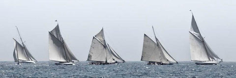 First Five Black Ornate Wood Framed Art Print with Double Matting by Llovet, Jorge