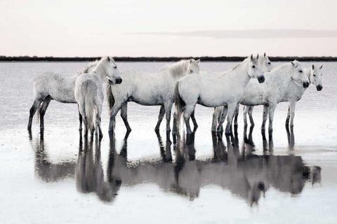 Calm Waters White Modern Wood Framed Art Print with Double Matting by Llovet, Jorge