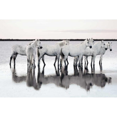 Calm Waters White Modern Wood Framed Art Print by Llovet, Jorge