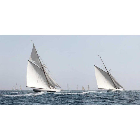 Sailing South  Gold Ornate Wood Framed Art Print with Double Matting by Llovet, Jorge