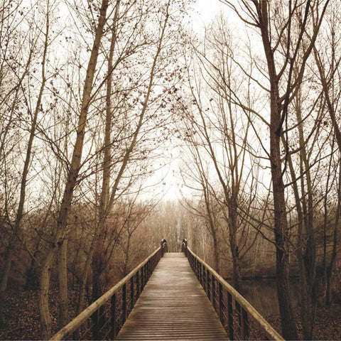 Right Here White Modern Wood Framed Art Print by Llovet, Jorge