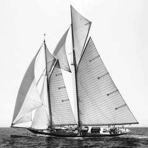 Adrift II Black Modern Wood Framed Art Print with Double Matting by Llovet, Jorge