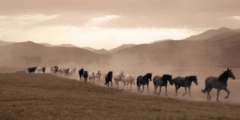 Moving Forward White Modern Wood Framed Art Print with Double Matting by Llovet, Jorge