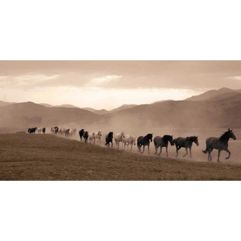 Moving Forward Black Modern Wood Framed Art Print by Llovet, Jorge