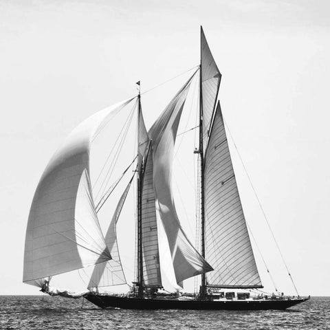 Adrift I Gold Ornate Wood Framed Art Print with Double Matting by Llovet, Jorge