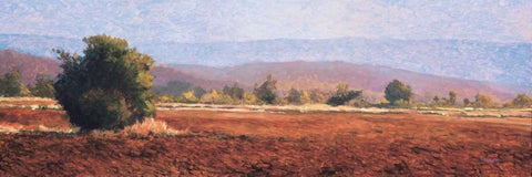 St. Christol White Modern Wood Framed Art Print with Double Matting by Lovelace, Kent