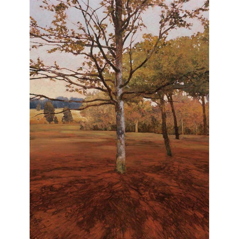 Noix Black Modern Wood Framed Art Print with Double Matting by Lovelace, Kent