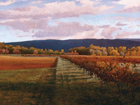 Vaucluse White Modern Wood Framed Art Print with Double Matting by Lovelace, Kent