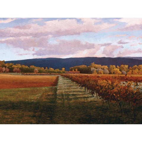 Vaucluse Black Modern Wood Framed Art Print by Lovelace, Kent