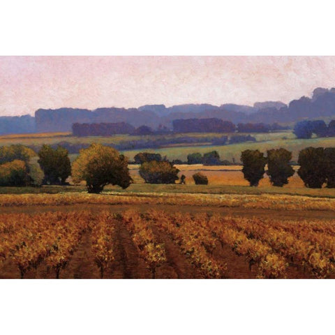 Terroir Gold Ornate Wood Framed Art Print with Double Matting by Lovelace, Kent