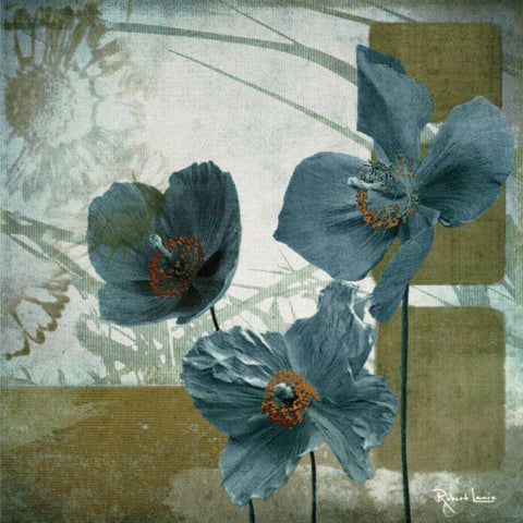 Cerulean Poppies II Black Modern Wood Framed Art Print by Lacie, Robert