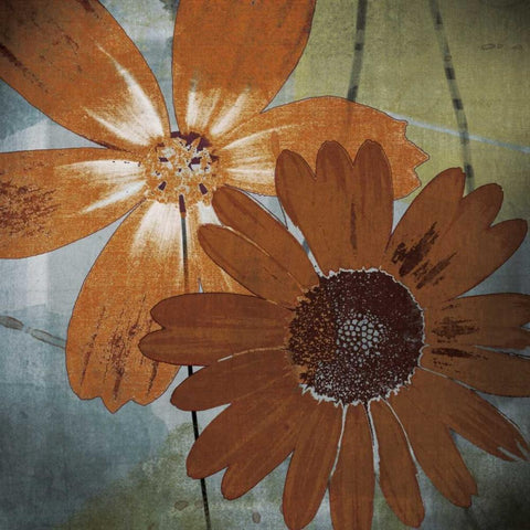 In the Cosmos Black Modern Wood Framed Art Print by Lacie, Robert