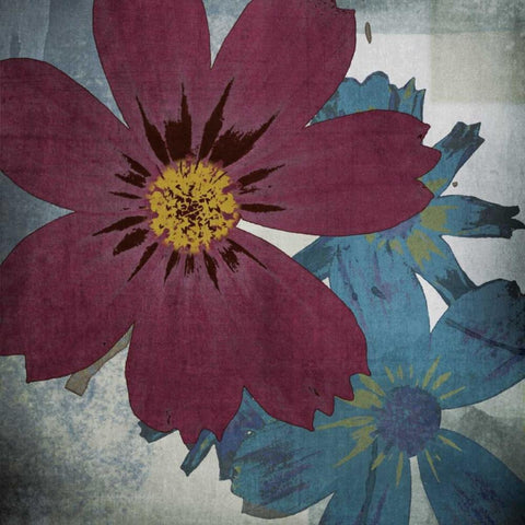 In the Cosmos White Modern Wood Framed Art Print by Lacie, Robert