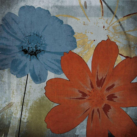 In the Cosmos Black Modern Wood Framed Art Print by Lacie, Robert