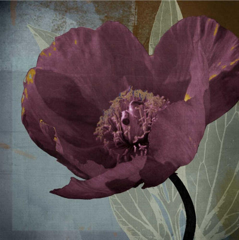 Blooming Jewels Black Ornate Wood Framed Art Print with Double Matting by Lacie, Robert