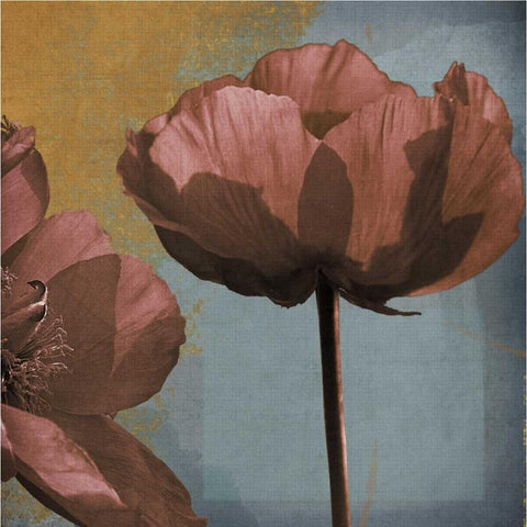 Blooming Jewels Black Modern Wood Framed Art Print by Lacie, Robert