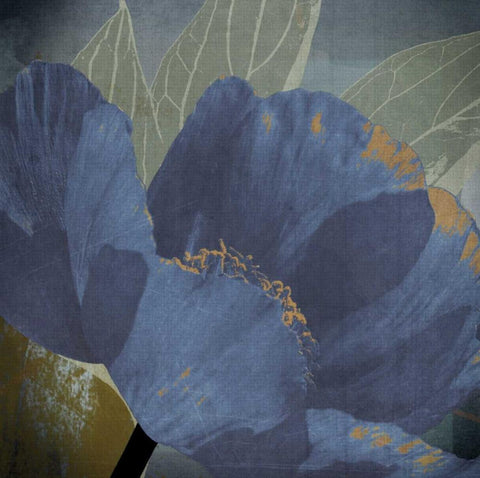 Blooming Jewels White Modern Wood Framed Art Print with Double Matting by Lacie, Robert